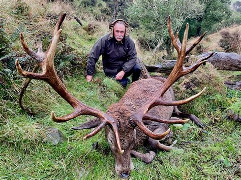 new zealand stag hunt.